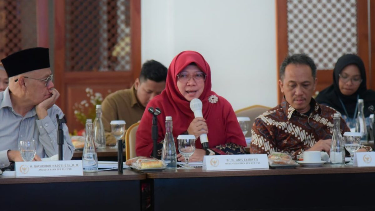 Senator Anis Byarwati Kritisi Hutang BUMN Penerima PMN Yang Sangat Besar