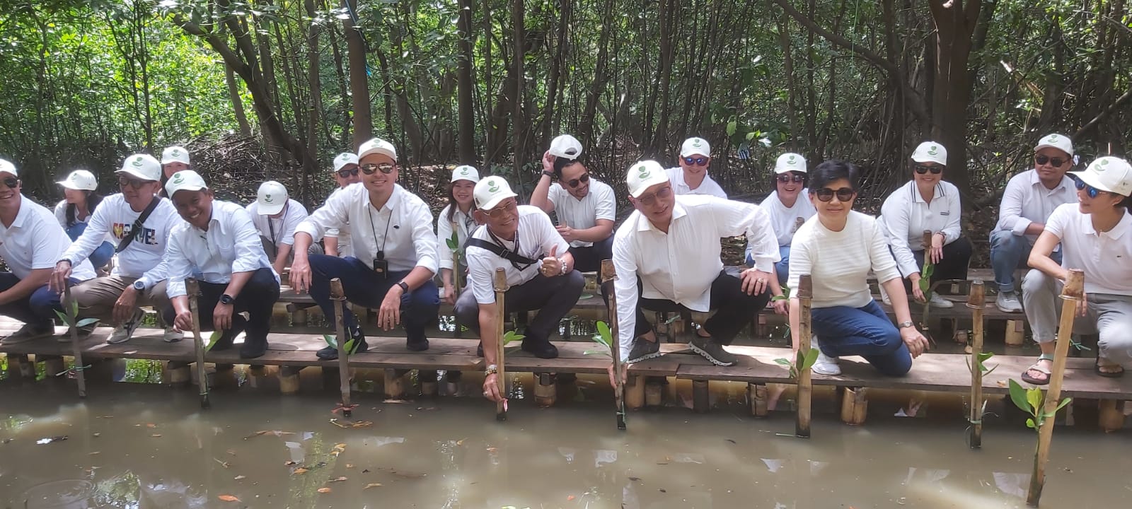 Rayakan Empat Dekade Perusahaan , Vivere Group  Tanam 1000 Bibit Mangrove